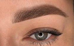 PERMANENT MAKEUP CONSULTATION